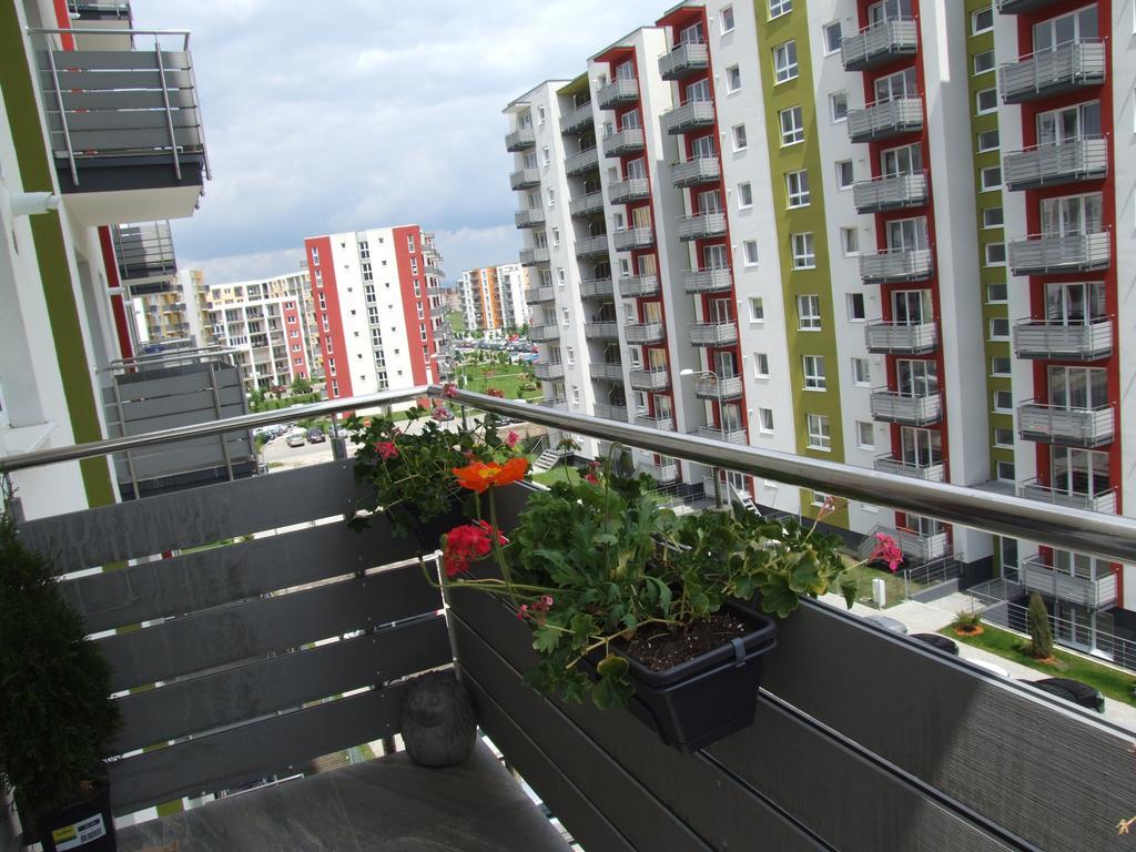 Anca Apartment Brasov Ngoại thất bức ảnh